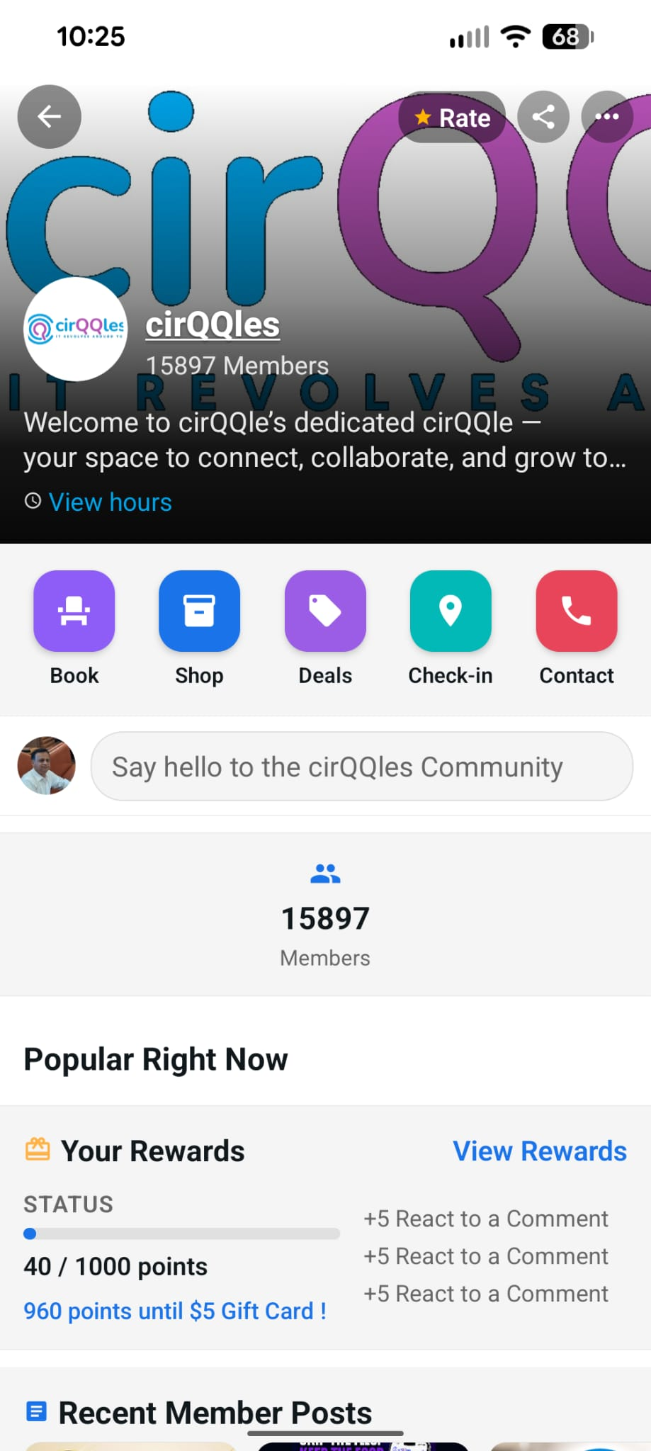 A sample cirQQle: a business's own branded community, with members and actions
